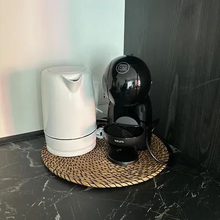 Apartment Settala *